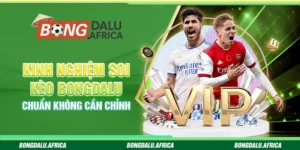 Kinh Nghiệm Soi Kèo Bongdalu - Chuẩn Không Cần Chỉnh