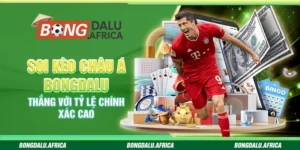 Soi Kèo Châu Á Bongdalu - Thắng Với Tỷ Lệ Chính Xác Cao